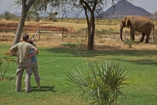 Ashnil Samburu Camp - Archers Post - 2