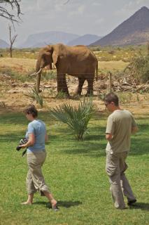 Ashnil Samburu Camp - Archers Post - 1