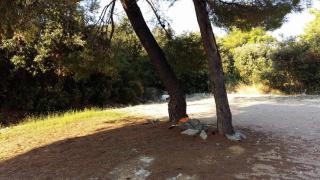Studio Apartments Marica - Brodarica - 7