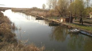 Molni - Balatonfůzfő - 3
