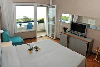 Hotel Venere - Cesenatico - 9