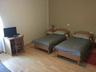 Guest house Okrepčevalnica Zemonska vaga - Ilirska Bistrica (Bisterza) - 1