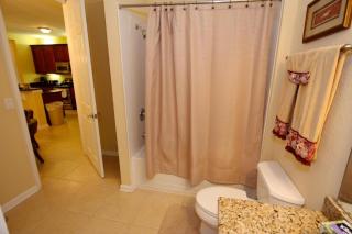 Viz Cay 4816 - 4