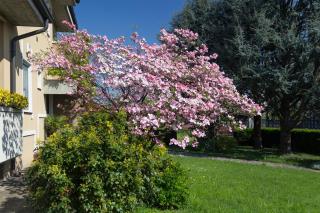 Il Giardino - Trenzano - 8