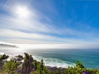 Whale Vista - 9