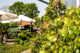 Hotel Marianne und Restaurant Kiek In - Plau am See - 1