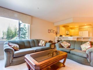 Mountain Lake Getaway (B101) - Twin Beaches - 6