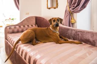 Trastevere Royal Suite - Rom - 2