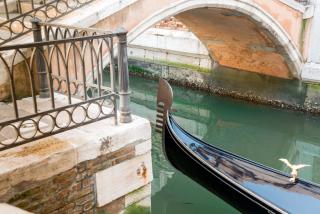 Venice in the house - Venice - 7