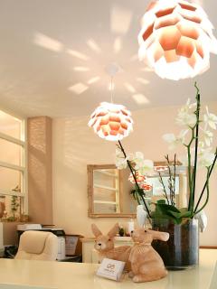 Hotel Garni Golf - Ascona - 7