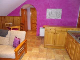 Apartamentos Cinca - 7