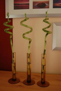 Ferienwohnung Sonnenschein - Schönberger Strand - 3