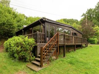 Sympathic Chalet not far from La Roche en Ardennes - La-Roche-en-Ardenne - 0
