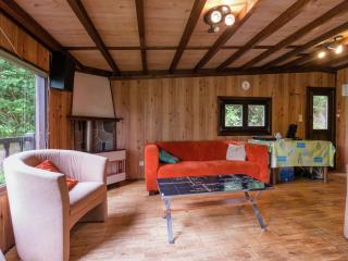 Sympathic Chalet not far from La Roche en Ardennes - La-Roche-en-Ardenne - 9