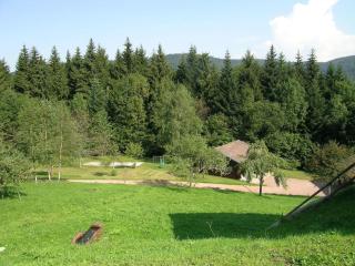 Chalet in Ventron near Ski Lift - Ventron - 5