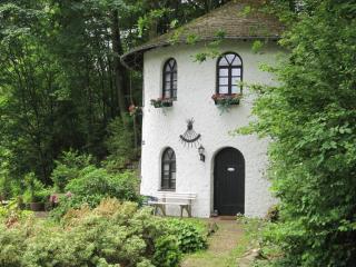 Holiday home in Strotzbusch with sauna - Strotzbüsch - 5