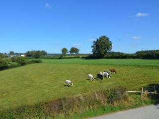 La ferme d'Amel - Amblève - 2