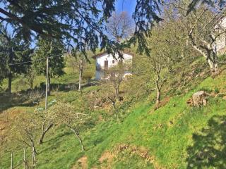Agriturismo Bicocchi - Piteglio - 3