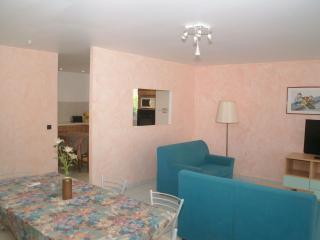 Spacious house, 100m from the beach, swimming pool - Algajola - 1