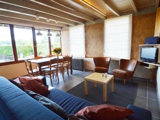 Holiday Home in Vloesberg - Flobecq - 5
