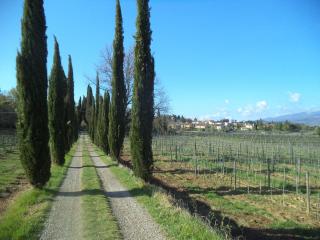 Agriturismo Albergotti - Arezzo - 7