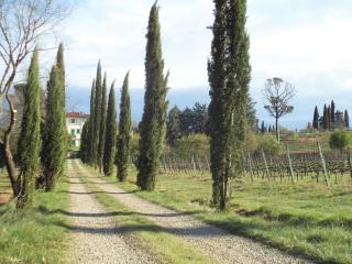 Agriturismo Albergotti - 1
