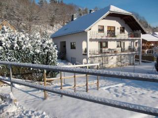 Lovely Mansion in Lirstal with Terrace - 3