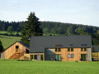 Beautiful villa with heated outdoor pool - Manhay - 3