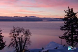 Pepper Tree Inn Tahoe City - Tahoe City - 7