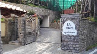 Agriturismo La Lobra - Massa Lubrense - 5