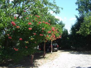 Apartment Grgorinic - 1