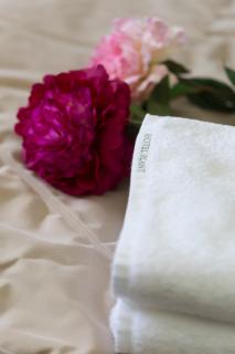Hotel Plant Garden Resort (Adult Only) - Toyokawa - 3