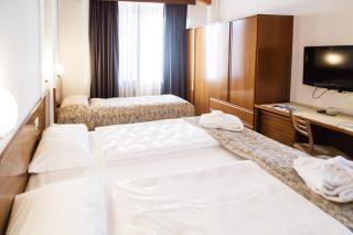 Hotel Ariston Garden & Spa - 2