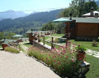 Wild Life Chalets - 1