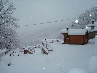 Wild Life Chalets - 2