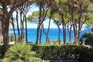 Residence Villa La Pineta - Cavo - 8