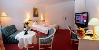 Hotel Schnehagen - Bad Fallingbostel - 2