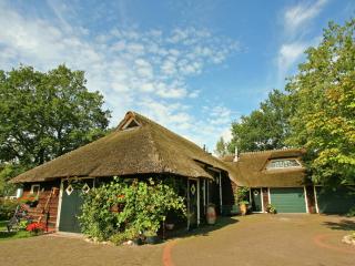 Farmhouse in Balkbrug with Sauna - Balkbrug - 0