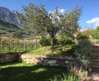 Ferienwohnung Eichnerhof - Magrè allʼ Adige - 5