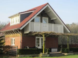 Rural holiday home in Well with garden - Knikkerdorp - 0