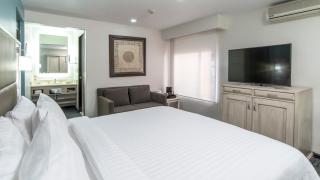 Holiday Inn & Suites Mexico Zona Reforma by IHG - Città del Messico - 4