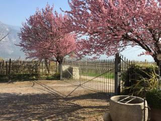 Ferienwohnung Eichnerhof - 6