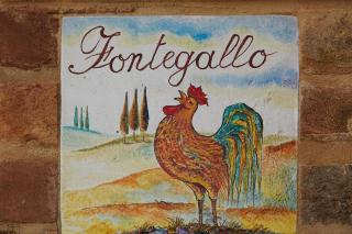 Podere Fontegallo - Castiglione del Lago - 9