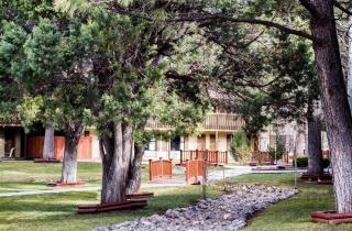 Best Western Pine Springs Inn - 6