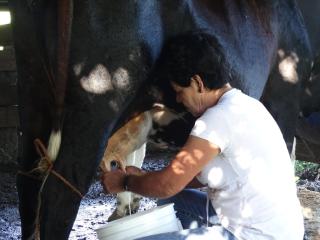 Cabañas Valle Campanas - Monteverde, Costa Rica - 6