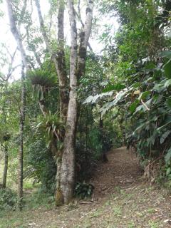 Pousada Recanto Águas Vivas - 1