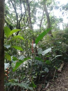 Pousada Recanto Águas Vivas - 2