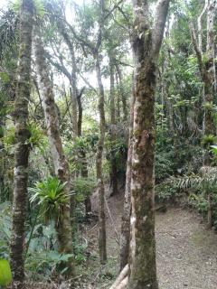 Pousada Recanto Águas Vivas - 8