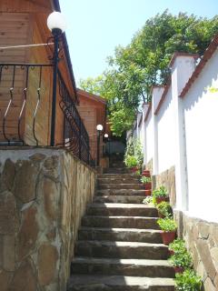 Zlatnoto Pile Restaurant & Rooms - Kranevo - 1
