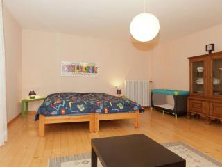 Spacious Holiday Home near Ski Area - Schmallenberg - 1